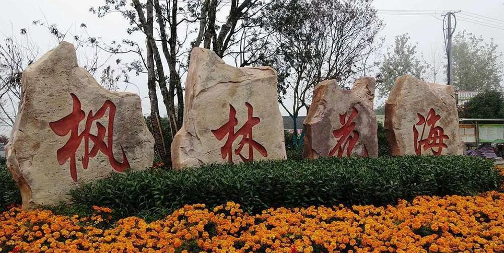 安信游 × 无忧文旅：集团版智慧票务系统，构建多业态文旅协同新生态